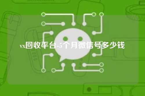 vx回收平台-5个月微信号多少钱