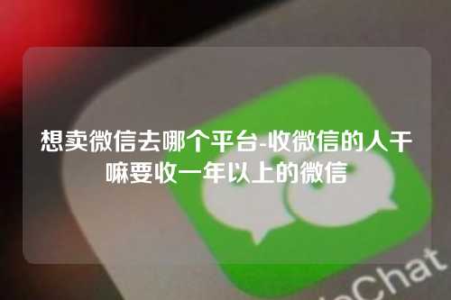 想卖微信去哪个平台-收微信的人干嘛要收一年以上的微信