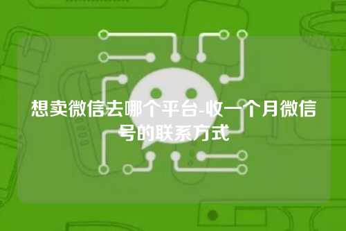 想卖微信去哪个平台-收一个月微信号的联系方式