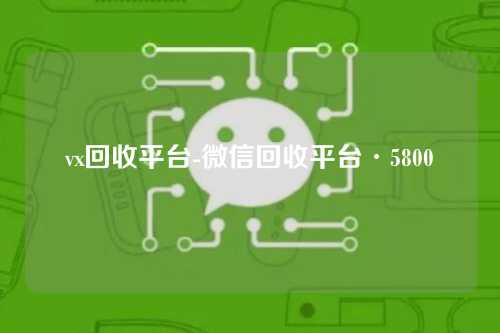 vx回收平台-微信回收平台·5800